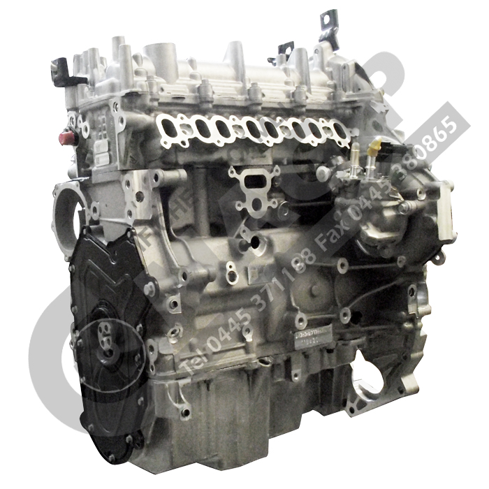 REBUILT LONG BLOCK ENGINE CODE 204DTD