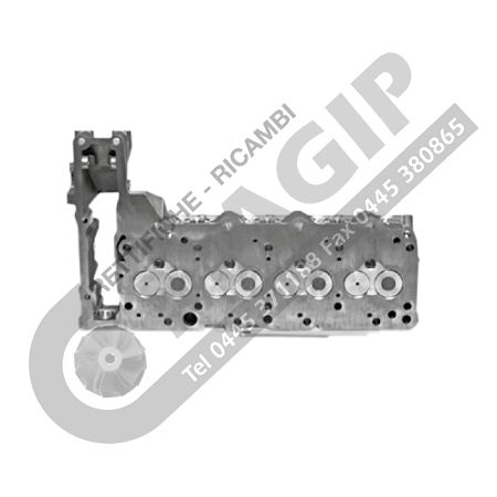 CYLINDER HEAD WITH VALVES AND SPRINGS (NO CAMSHAFT)