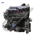 MOTORE NUOVO COMPLETO IVECO DAILY - COD.MOT.  F1AE0481