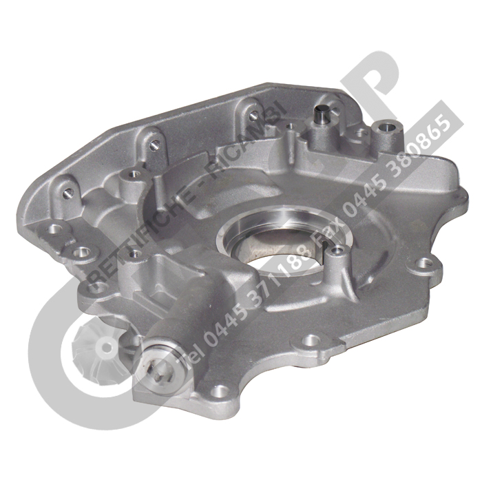 Pompa Olio Elettromagnetica, 400-500cc/min AC220V Pompe Olio Per