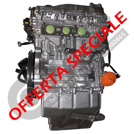 NEW ASPIRATED ENGINE CODE 132910