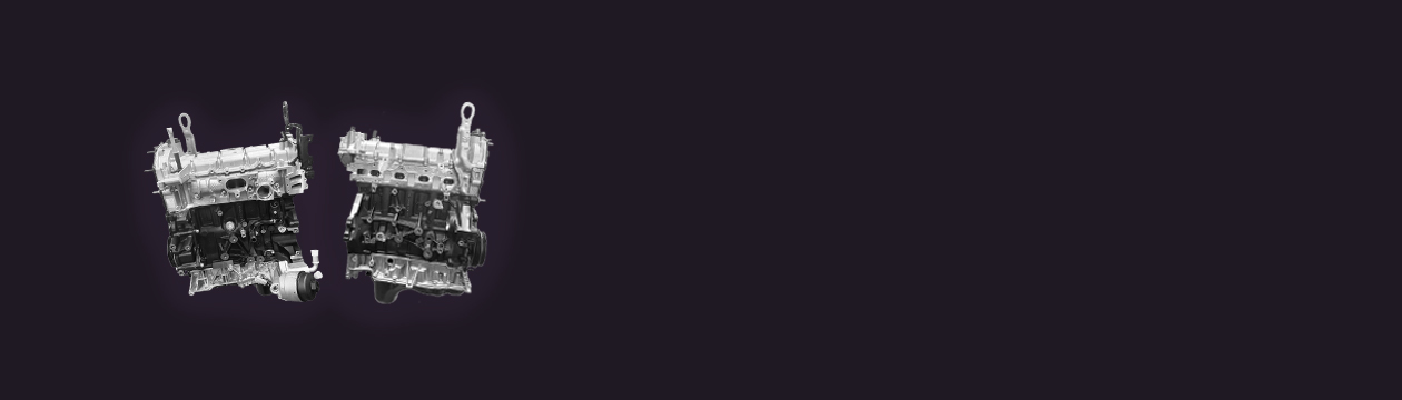 motori nuovi e revisionati